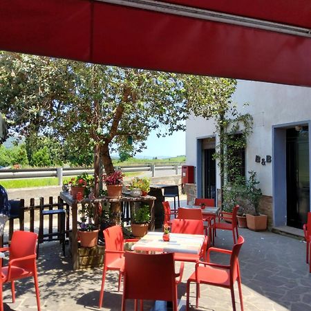Valle Degli Etruschi B&B Grilli Экстерьер фото